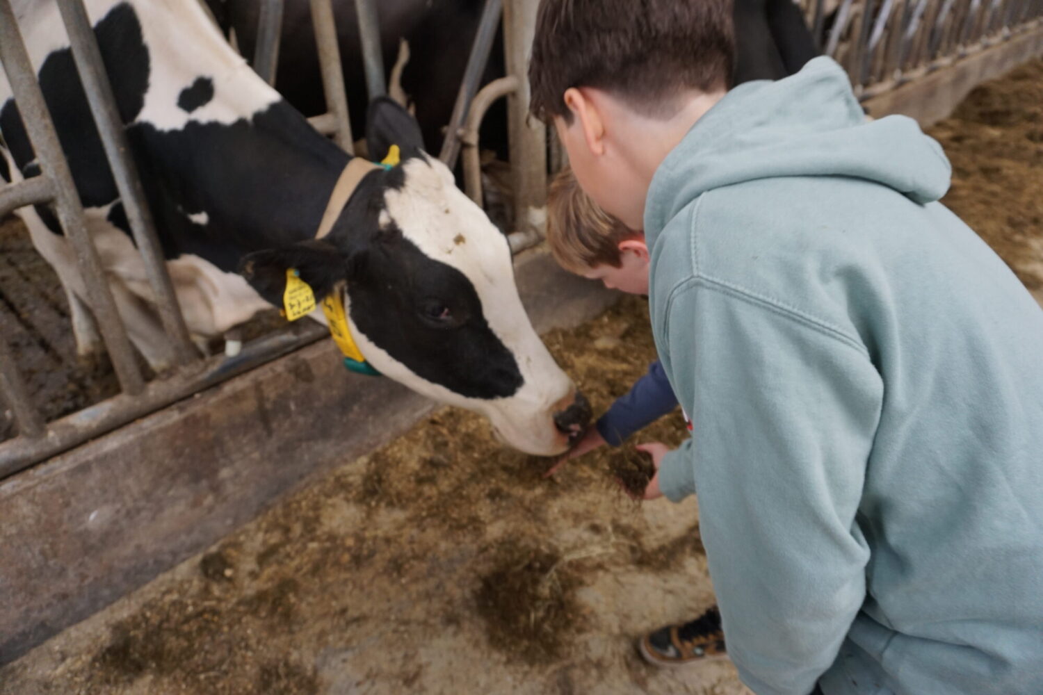 Boerderij bezoek groepen 6